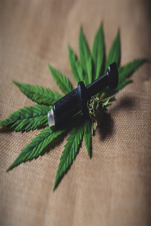 Can You Get High from CBD or CBD Oil?